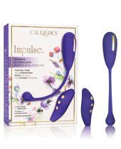 Impulse Intimate E-Stimulator Remote Kegel Exerciser - Purple